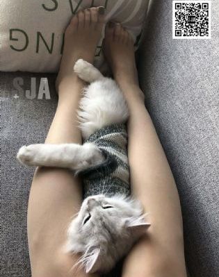 租借女友第3季免费观看动漫