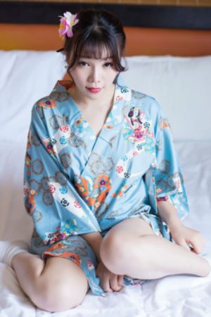 长安诺电视剧免费