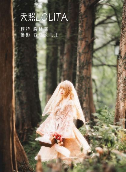 沧元图最新一集
