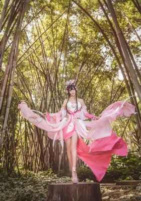 白莲花电视剧完整版免费
