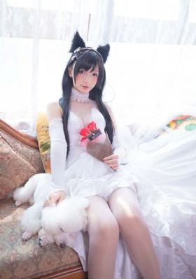 他的小仙女